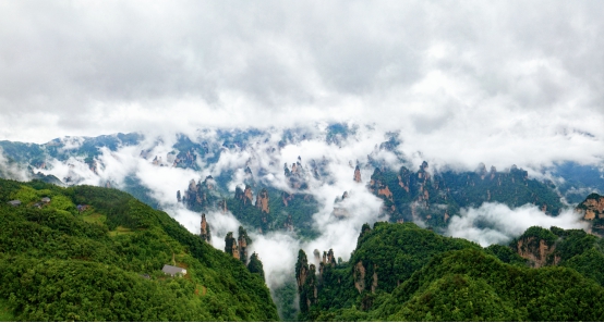 张家界旅游有个让人“崩溃”的疏忽,一旦走错,排队两小时起