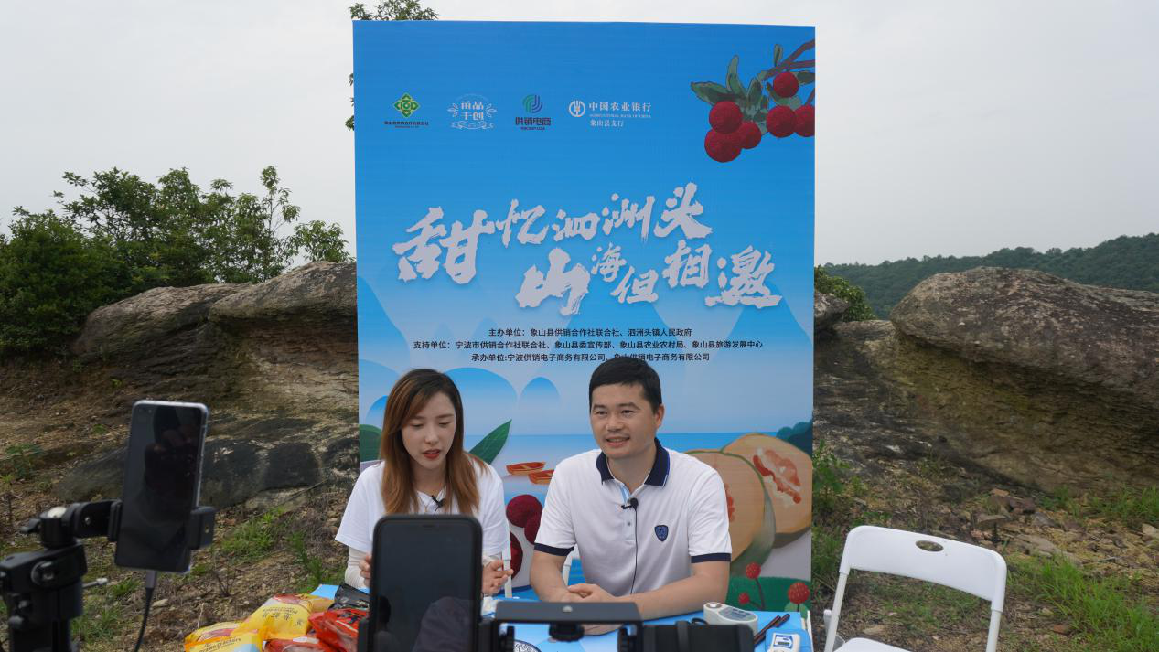 灵梅甜瓜清甜登场,惊艳泗洲头的初夏
