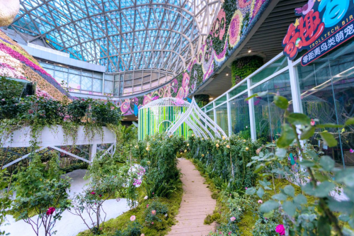 透过植物看世界 | 在花之城花园,来一场植物科普游学之旅
